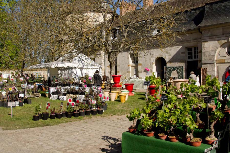 fetes-des-plantes-st-jean-de-beauregard-a91